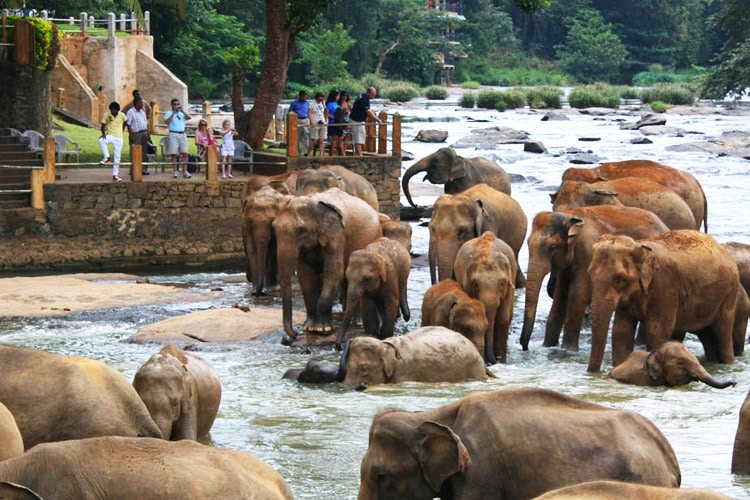 Sri Lanka Journey