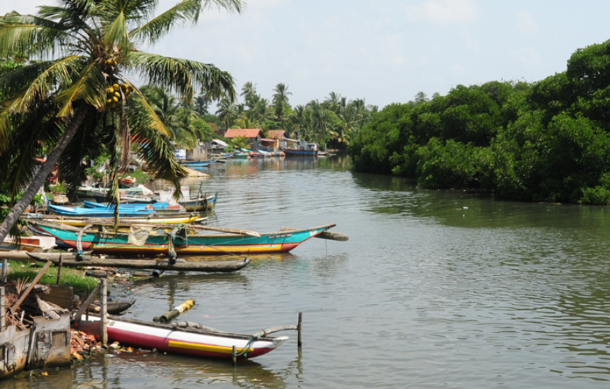 Wild About Sri Lanka