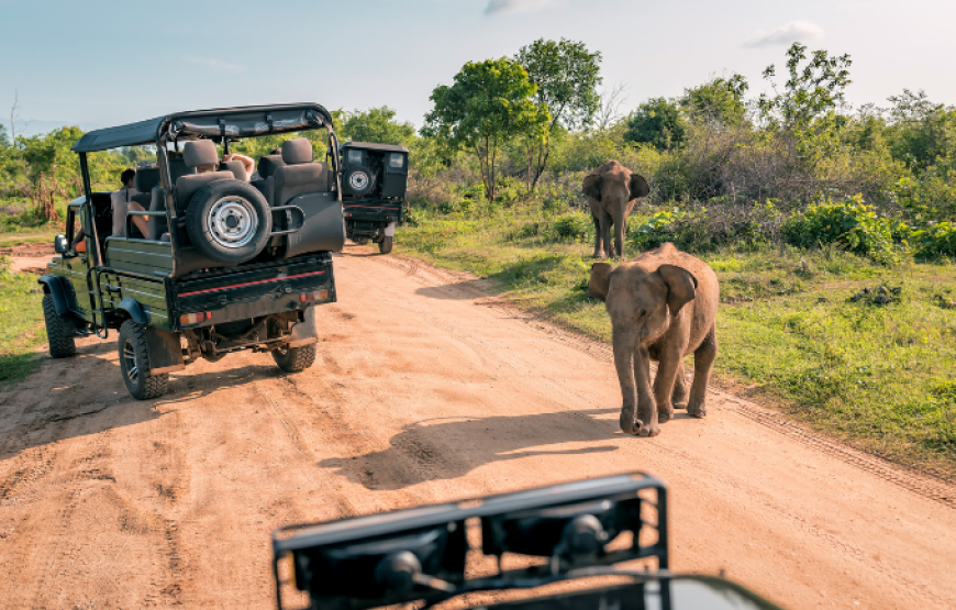 Discover Sri Lanka Beauty